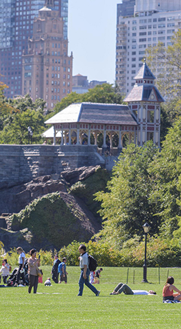 Climate Resilience Sidebar Image - Central Park, NYC